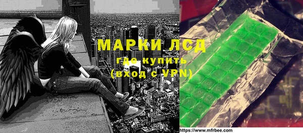 гашик Алексин