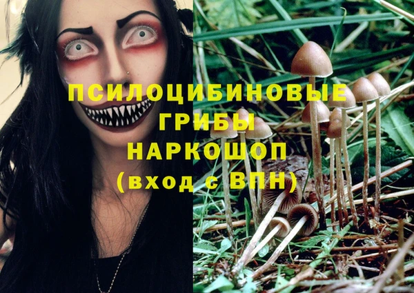 бошки Алзамай